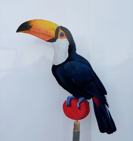 Weißbrusttukan 0340-a ramphastos tucanus