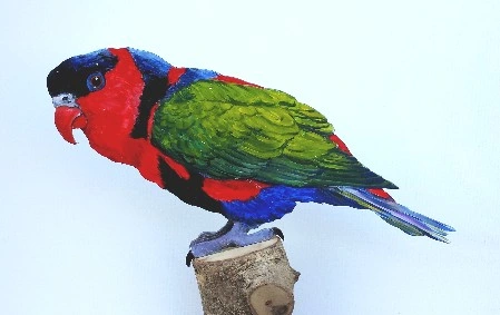 Frauenlori 0267-a lorius lori